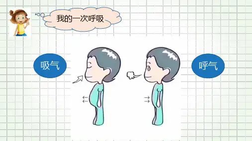 呼吸与健康生活ppt课件