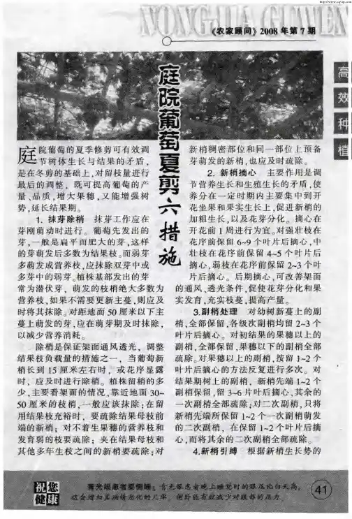 庭院葡萄夏剪六措施