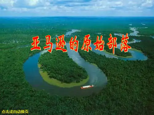亚马逊的原始部落PPT课件