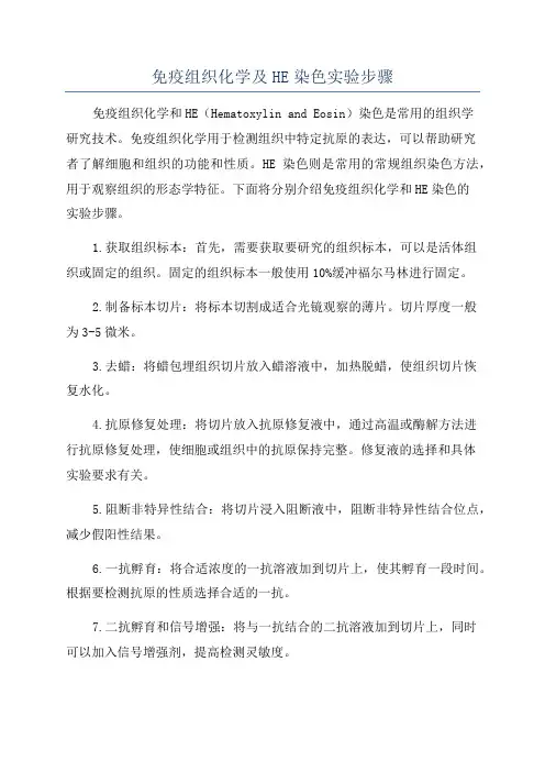 免疫组织化学及HE染色实验步骤