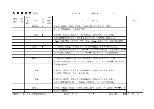 钻探地质编录表模板