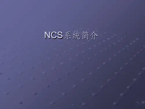 《NCS系统介绍》PPT课件