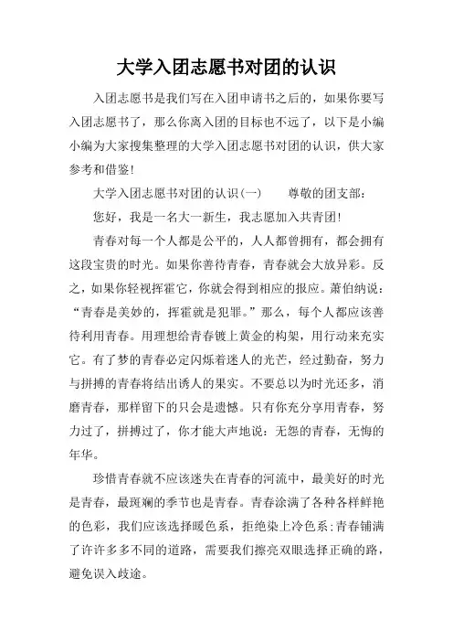 大学入团志愿书对团的认识