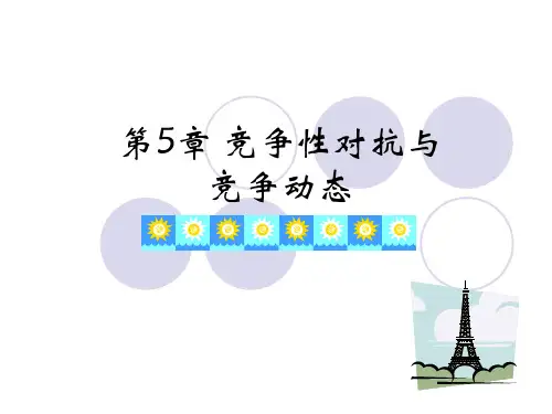 竞争性对抗与竞争动态概述(PPT35张)