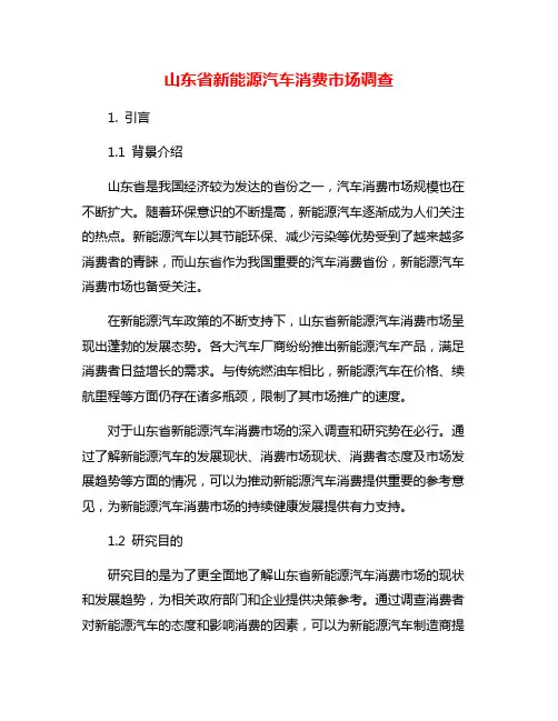 山东省新能源汽车消费市场调查