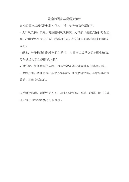 云南的国家二级保护植物