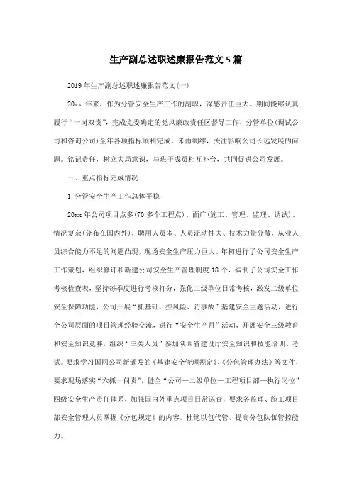 生产副总述职述廉报告范文5篇