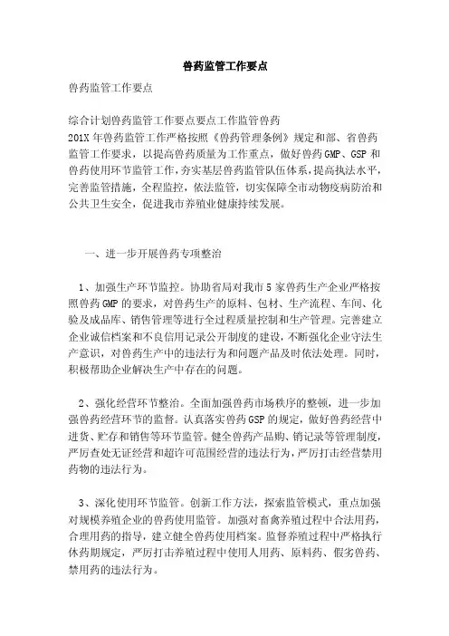 兽药监管工作要点【可编辑版】