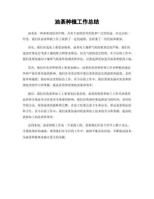 油茶种植工作总结
