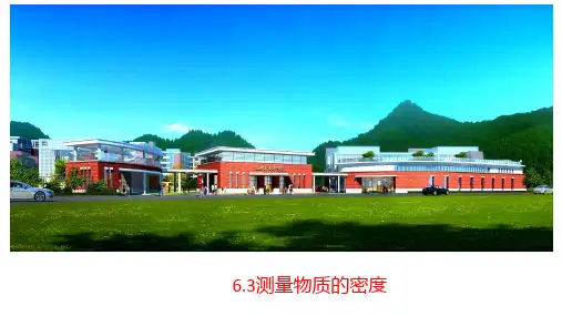 人教版物理八年级上册测量物质的密度课件