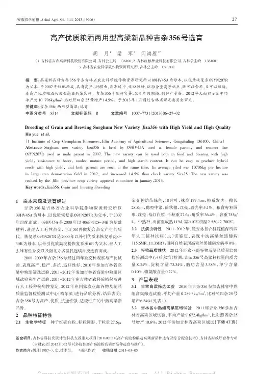 高产优质粮酒两用型高梁新品种吉杂356号选育