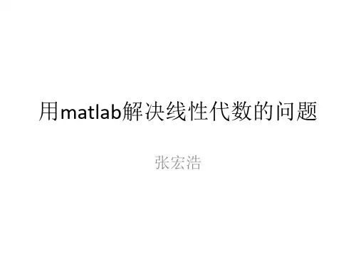 用matlab解决线性代数的问题
