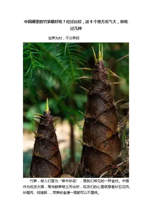 中国哪里的竹笋最好吃？经过比较，这9个地方名气大，你吃过几种