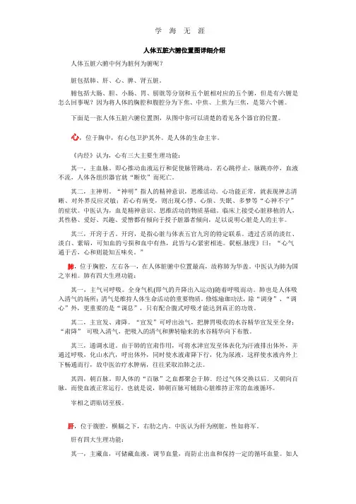(2020年整理)人体五脏六腑位置图详细介绍.pptx