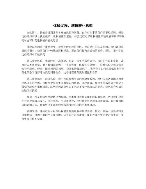 体验过程,感悟转化思想