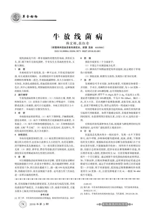 牛放线菌病