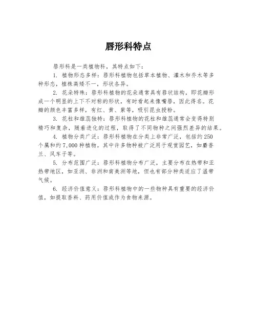 唇形科特点