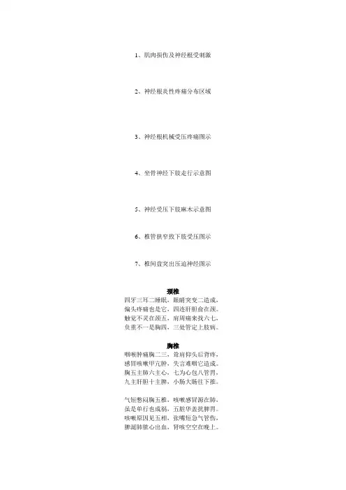 腰椎病、腰间盘突出解剖图