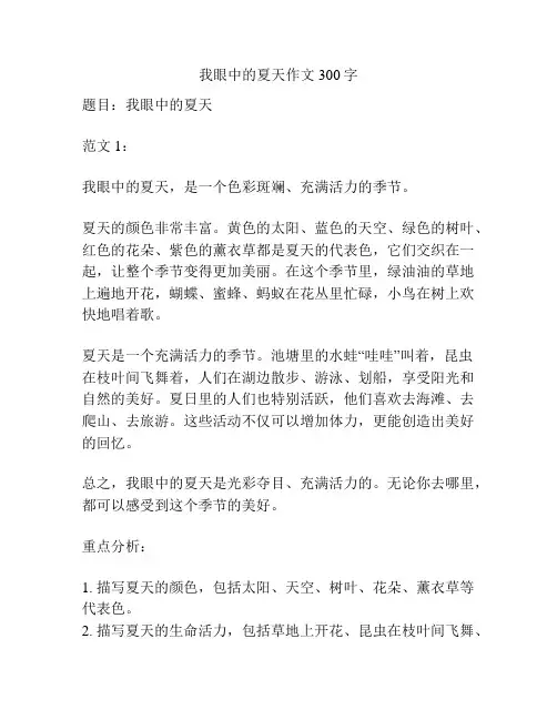 我眼中的夏天作文300字