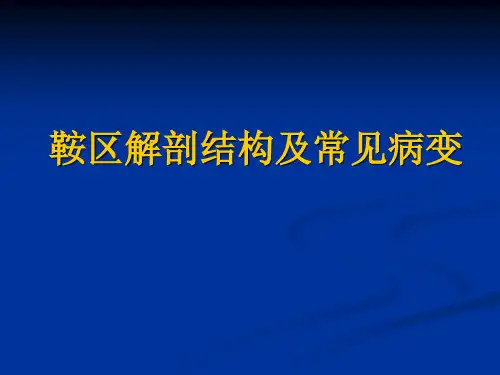 最新 鞍区解剖结构以及常见病变