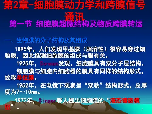 细胞膜动力学和跨膜信号通讯PPT演示文稿