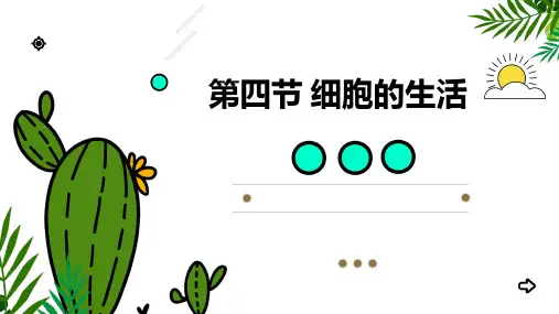 人教版七年级生物上册《细胞的生活》PPT优秀课件