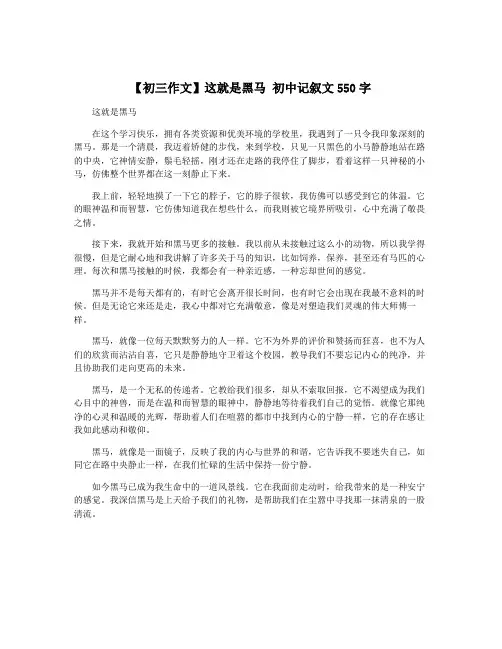 【初三作文】这就是黑马 初中记叙文550字