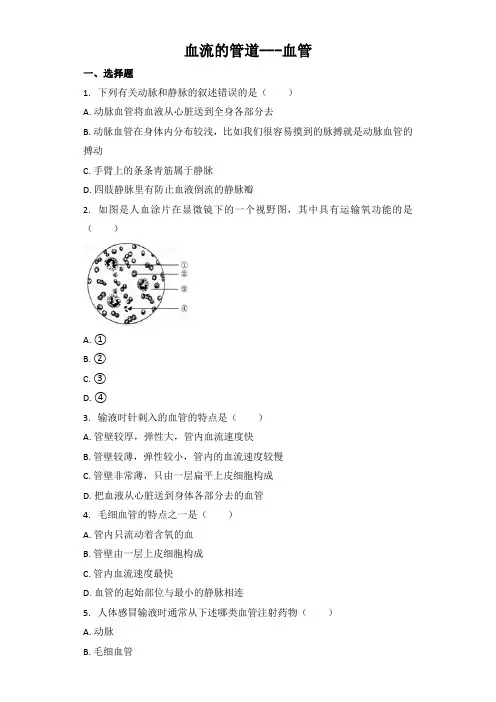 中考生物基础强化训练：血流的管道---血管（word版含解析）