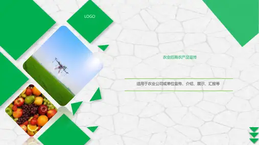 农业现代化粮食生产PPT模板种植农作物招商农产品五谷杂粮养生ppt (12)
