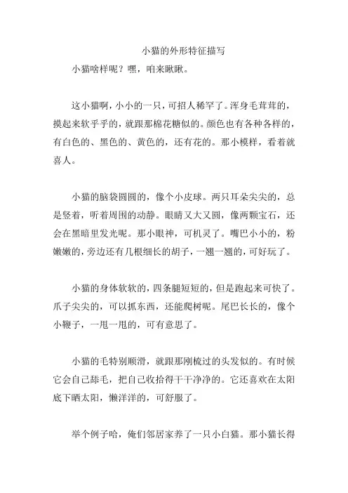 小猫的外形特征描写