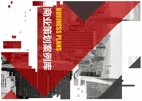 B2C电子商务商业计划书