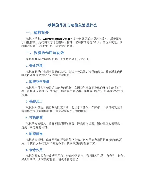 秋枫的作用与功能主治是什么