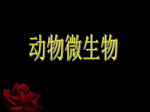 动物微生物全套课件