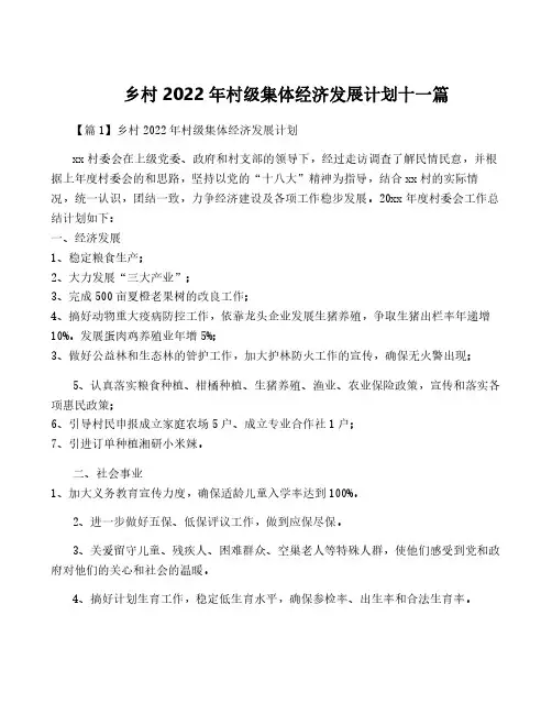 乡村2022年村级集体经济发展计划十一篇