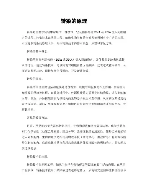 转染的原理