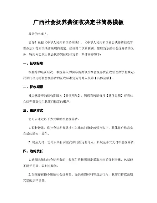 广西社会抚养费征收决定书简易模板