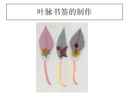 叶脉书签的制作教案资料