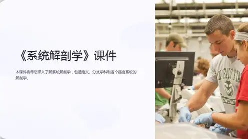 《系统解剖学》课件