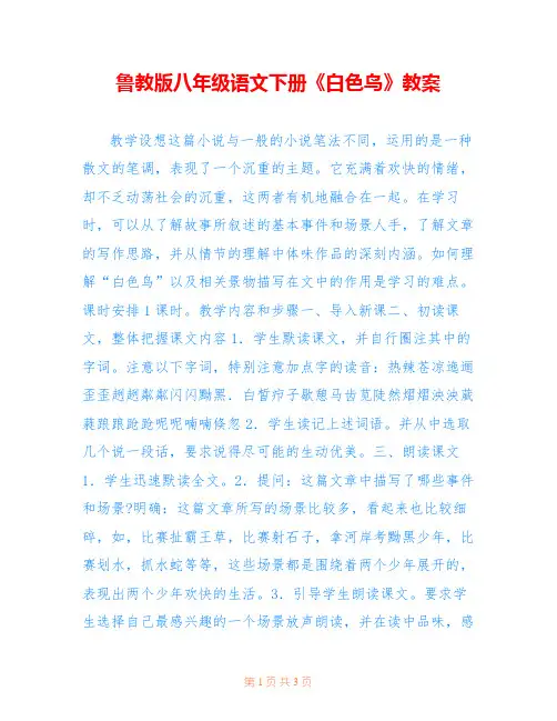 鲁教版八年级语文下册《白色鸟》教案 