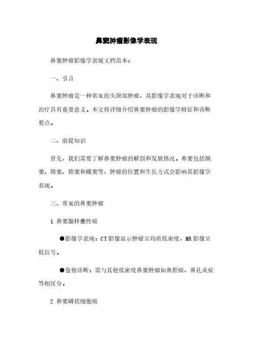 鼻窦肿瘤影像学表现