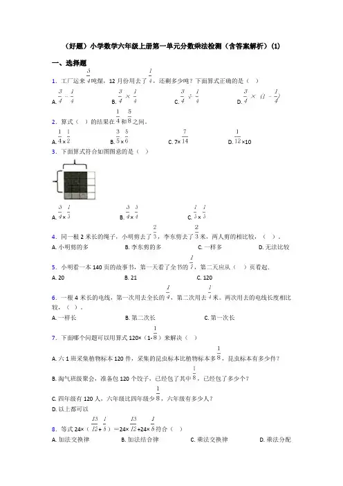 (好题)小学数学六年级上册第一单元分数乘法检测(含答案解析)(1)