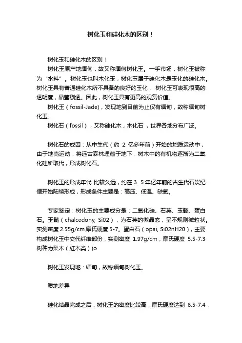 树化玉和硅化木的区别！