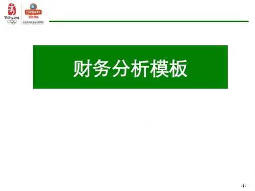 财务分析模板-青岛啤酒