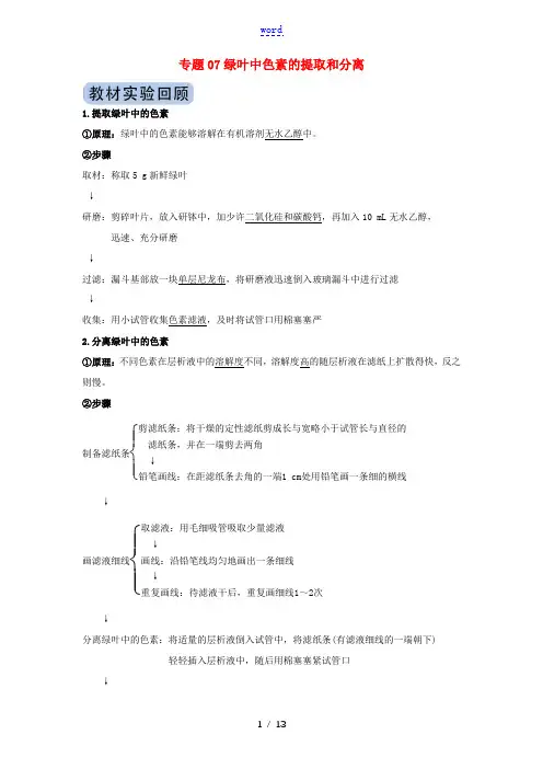 高考生物实验突破 专题07 绿叶中色素的提取和分离(含解析)-人教版高三全册生物试题