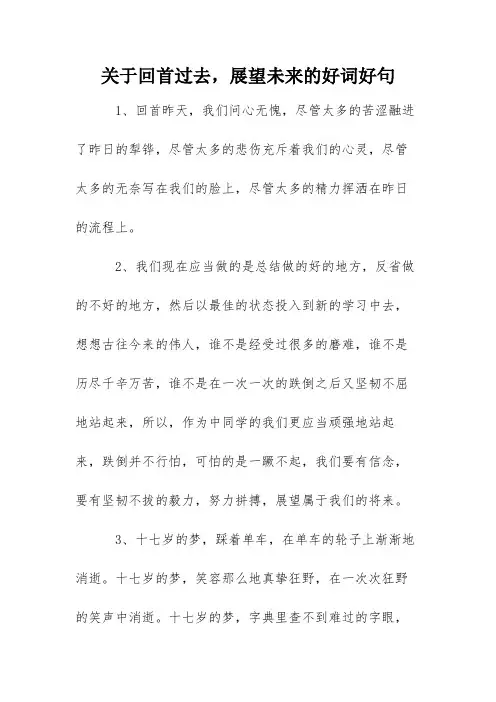 关于回首过去,展望未来的好词好句