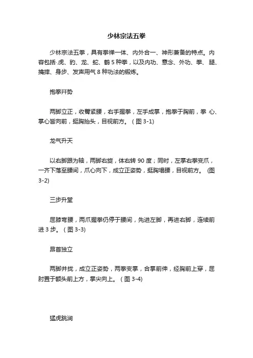 少林宗法五拳