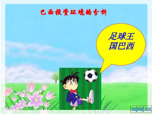 国际经济合作实务之国际投资环境分析(巴西)