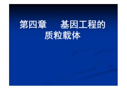 第四章 基因工程的质粒载体