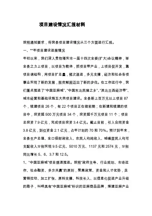项目建设情况汇报材料