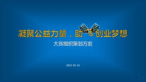 某某创业大赛活动方案ppt课件